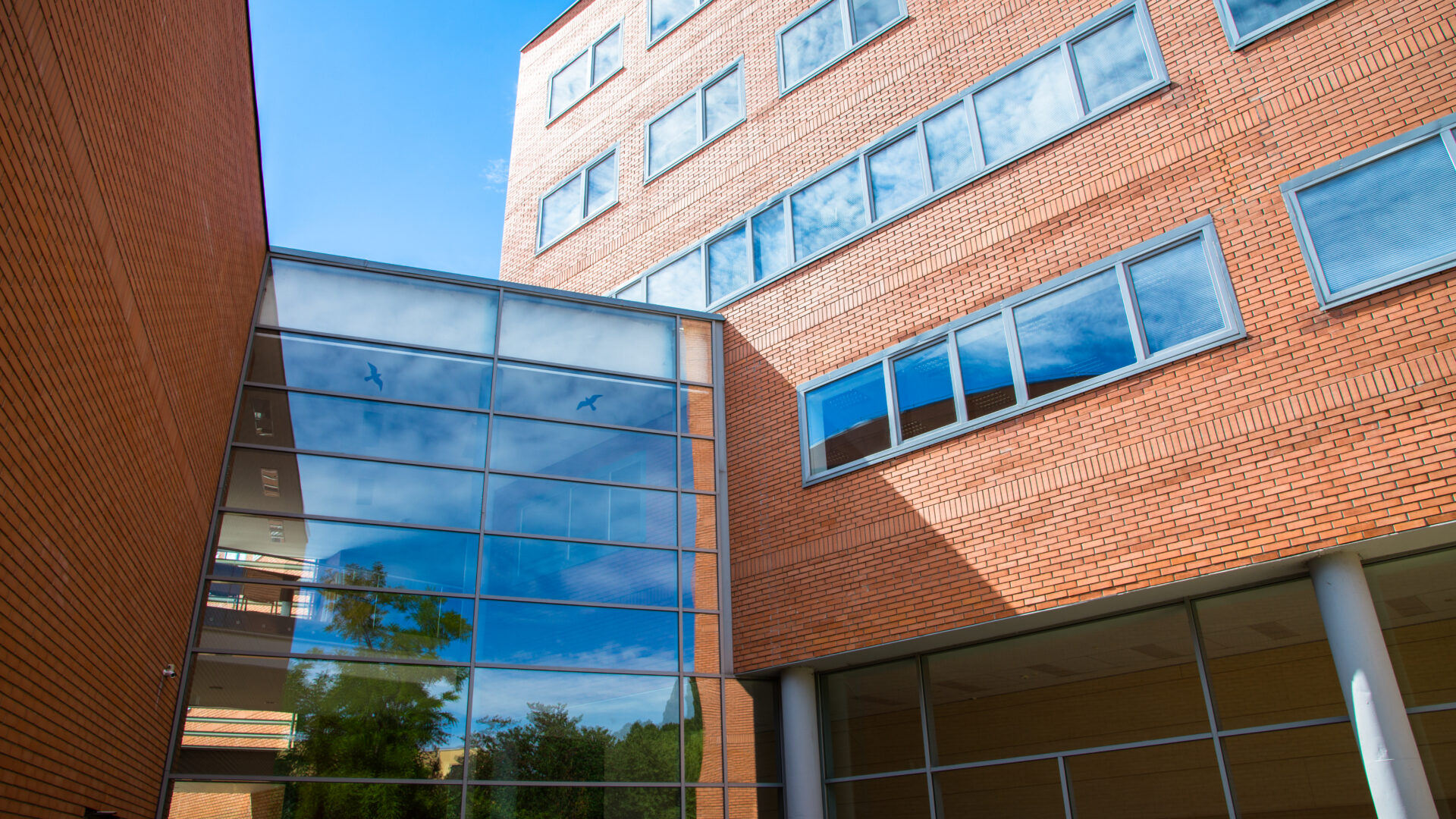 Óbuda University Neumann Faculty Integrates Artificial Intelligence and Cybersecurity into IT Education